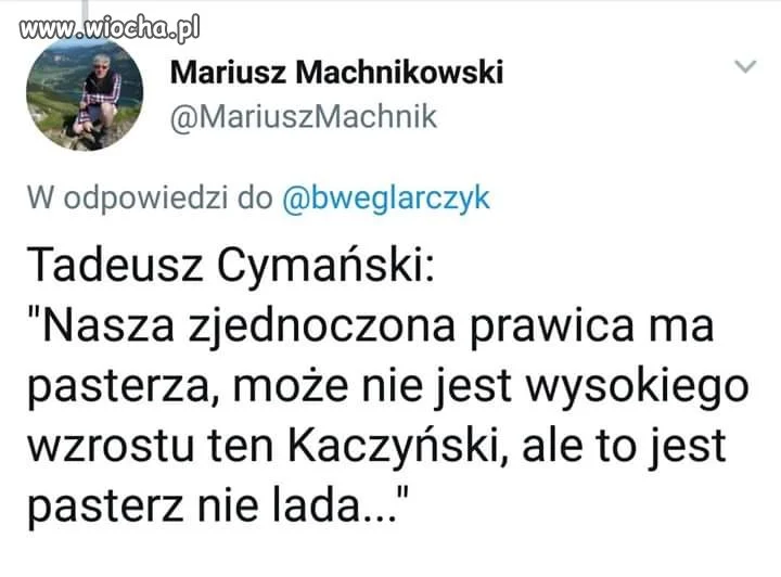 A te stado baranów
