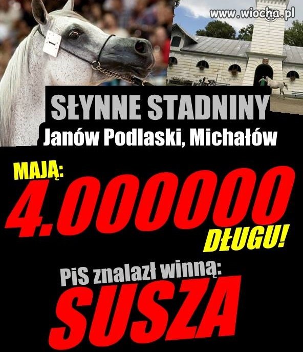 Jak można szybko