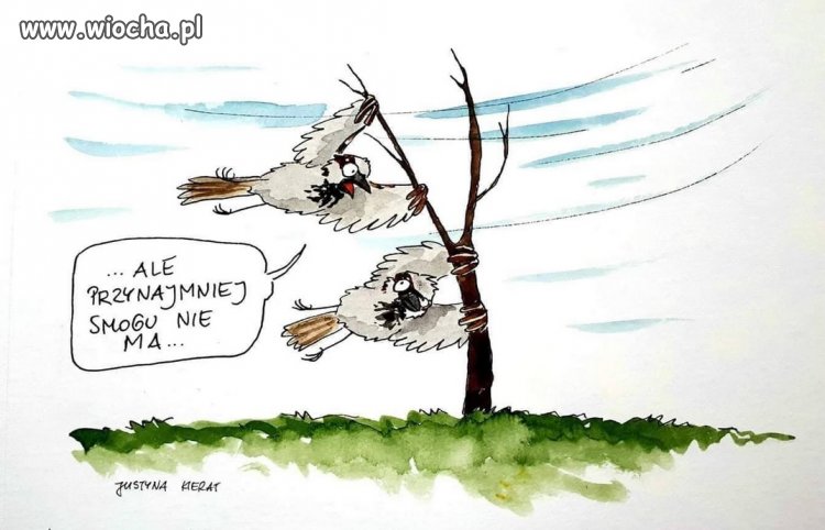 Dzisiaj w Krakowie...