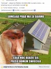 Somsiad nie moze być lepszy