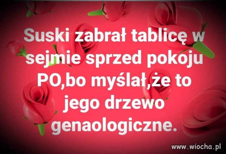 Suski myślał ... Już tylko to wystarczy ...