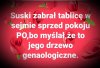 Suski myślał ... Już tylko to wystarczy ...