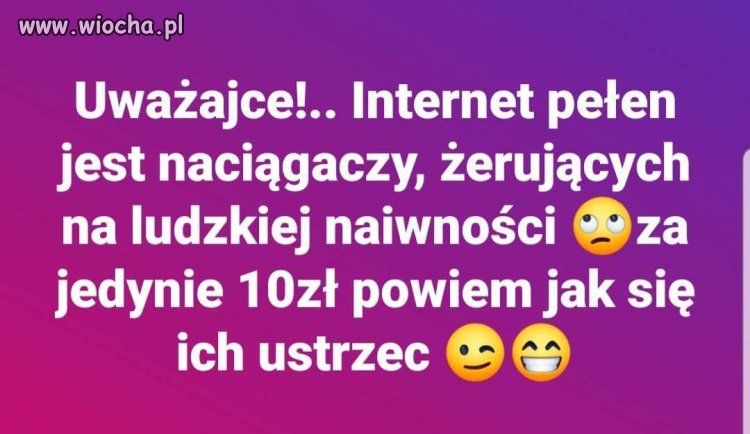 Janusz biznesu