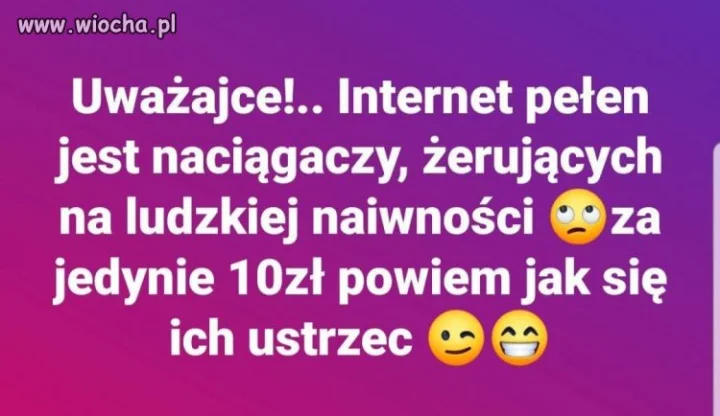 Janusz biznesu