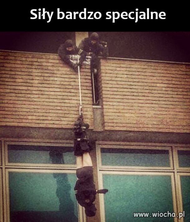 Siły