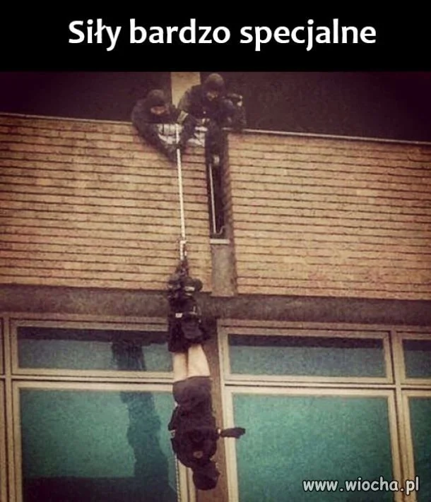 Siły