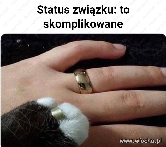 Heheszki polityczne
