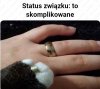 Heheszki polityczne