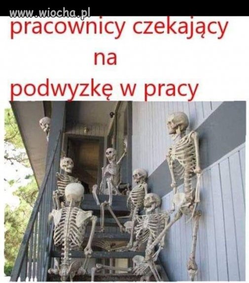 Czekali