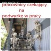 Czekali
