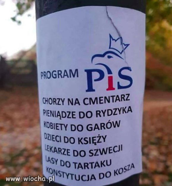 Program PiS