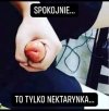 Spokojnie 