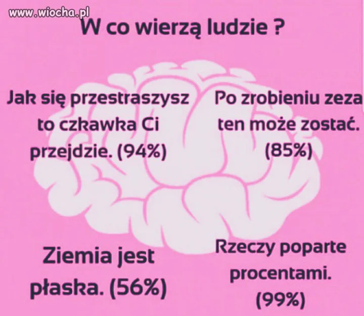 Niestety