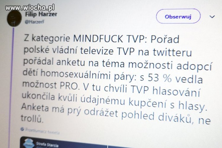 Ankieta tvp w sprawie adopcji przez pary homo...