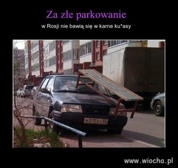 Karny ku*as...