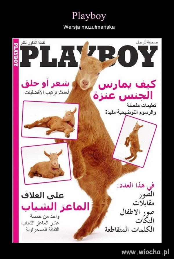 Playboy...