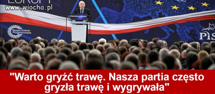 Braknie trawy