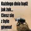 Z byle to może nie