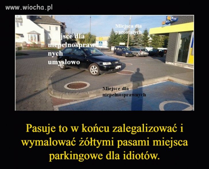 100 %