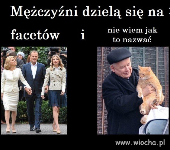 Mężczyzni dzielą się na: