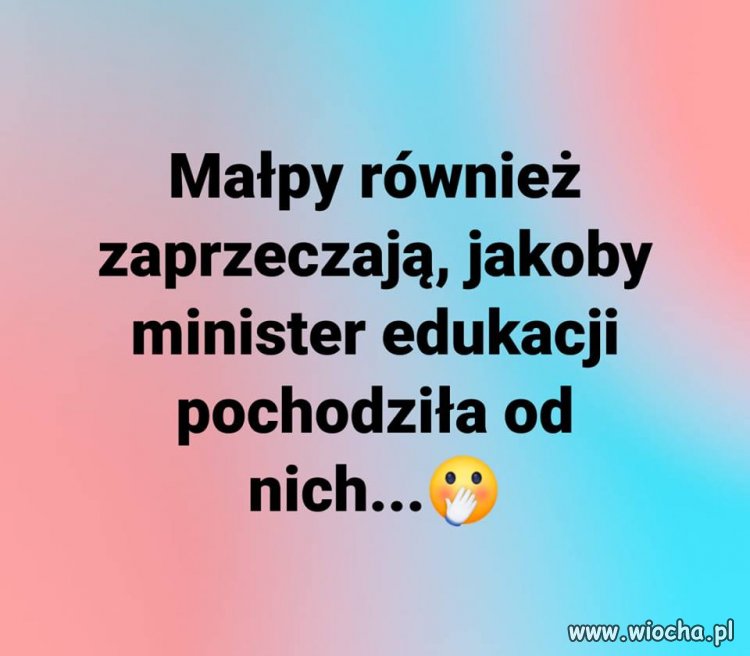 Obustronne dementi ...