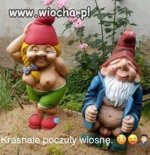 Nareszcie