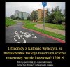 Tytułu brak.