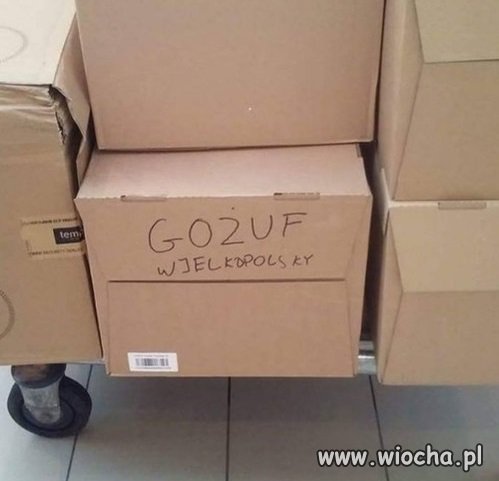 Ciekawe czy trafi do adresata