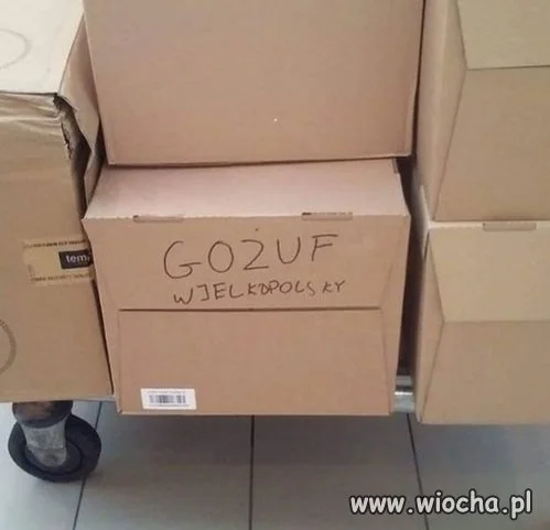 Ciekawe czy trafi do adresata