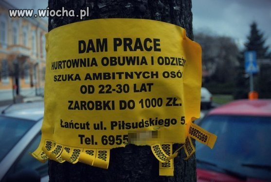 Praca dla ambitnych