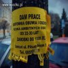 Praca dla ambitnych