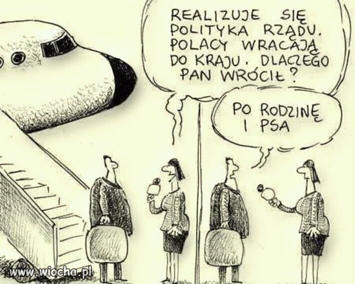 Polacy Wracają