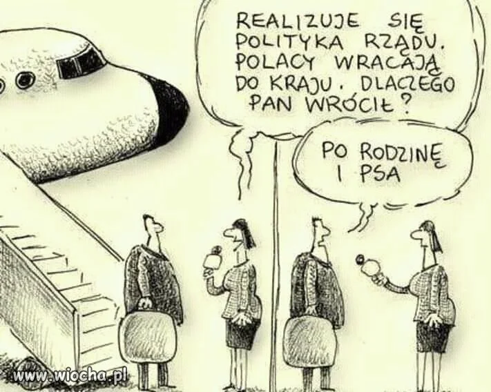 Polacy Wracają