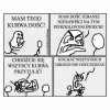 Krótka historia o nienawiści