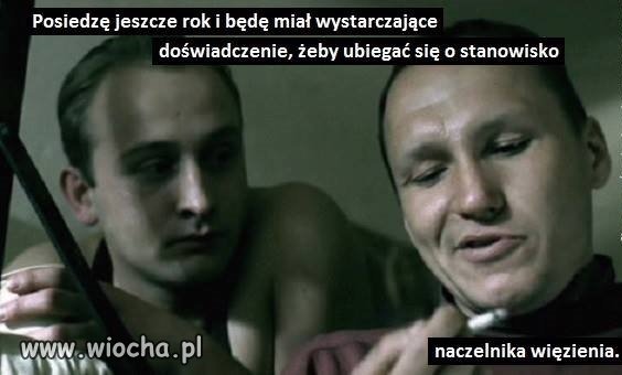 Świetne czasy