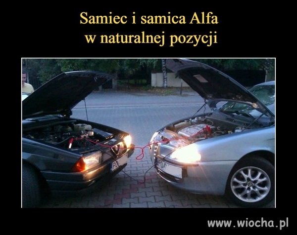 Alfa...