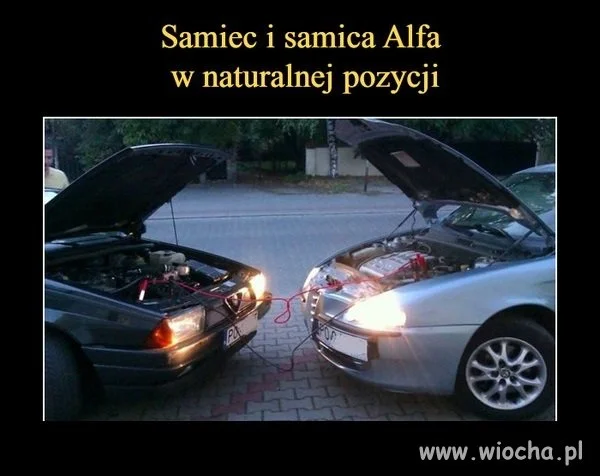 Alfa...