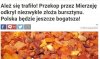 Taaa...Ciekawe czy srebrna ma koncesję