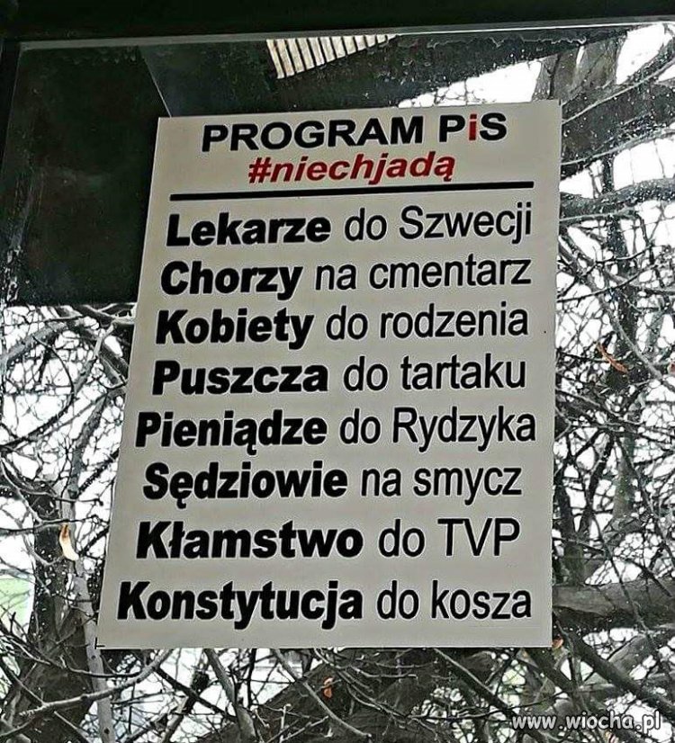 Program