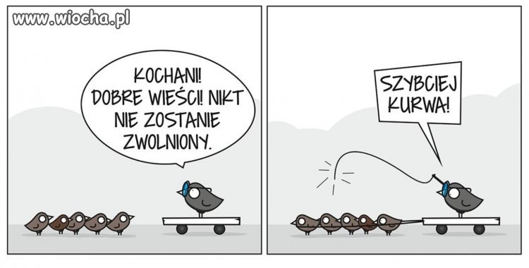 życiowe rozterki