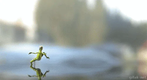 Śmiało naprzód!