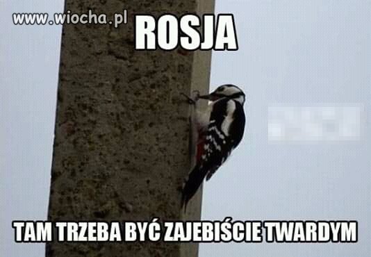 Rosja