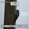 Rosja