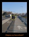 A wy jak sądzicie?