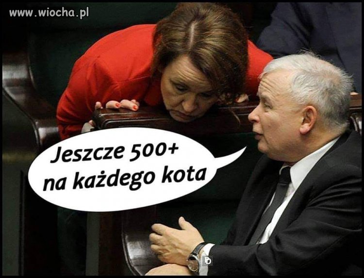Następne 500+