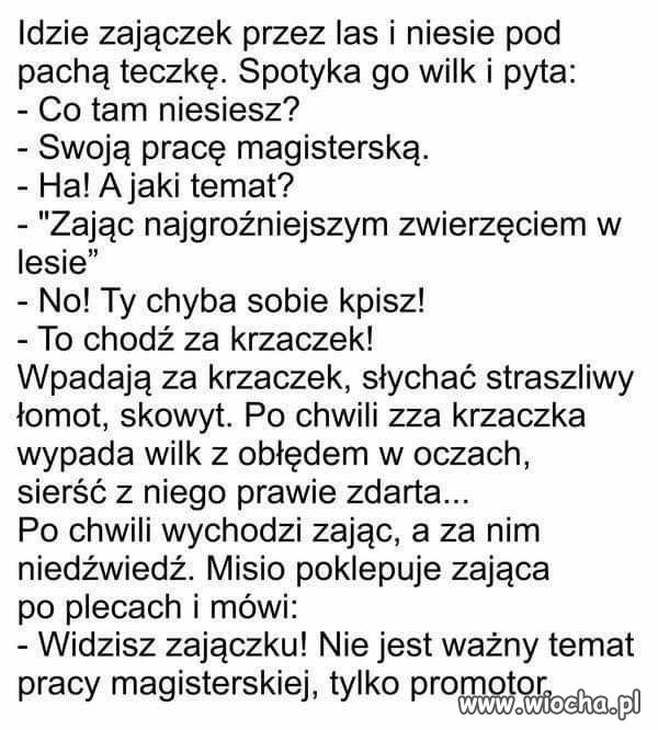 Samo Życie...
