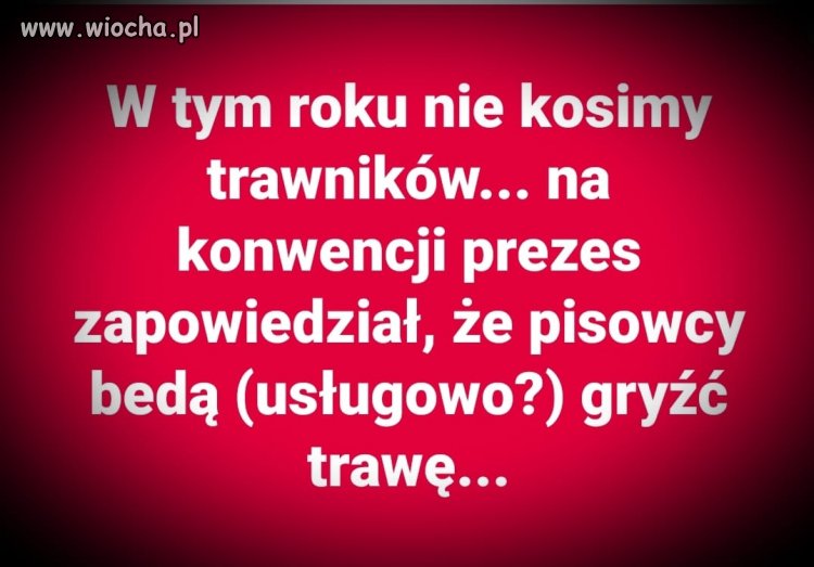 Tymczasem 