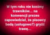 Tymczasem 