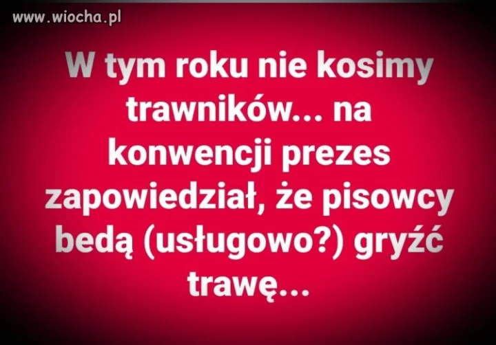Tymczasem 