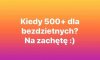Tyle w temacie